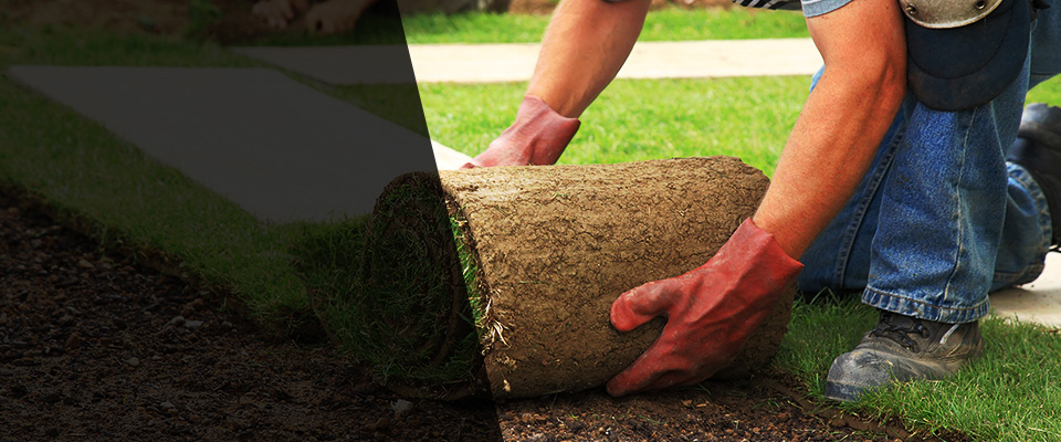 Perry Landscapers